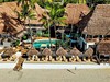 AHG Dream’s Bay Boutique Hotel - obrázek č. 3